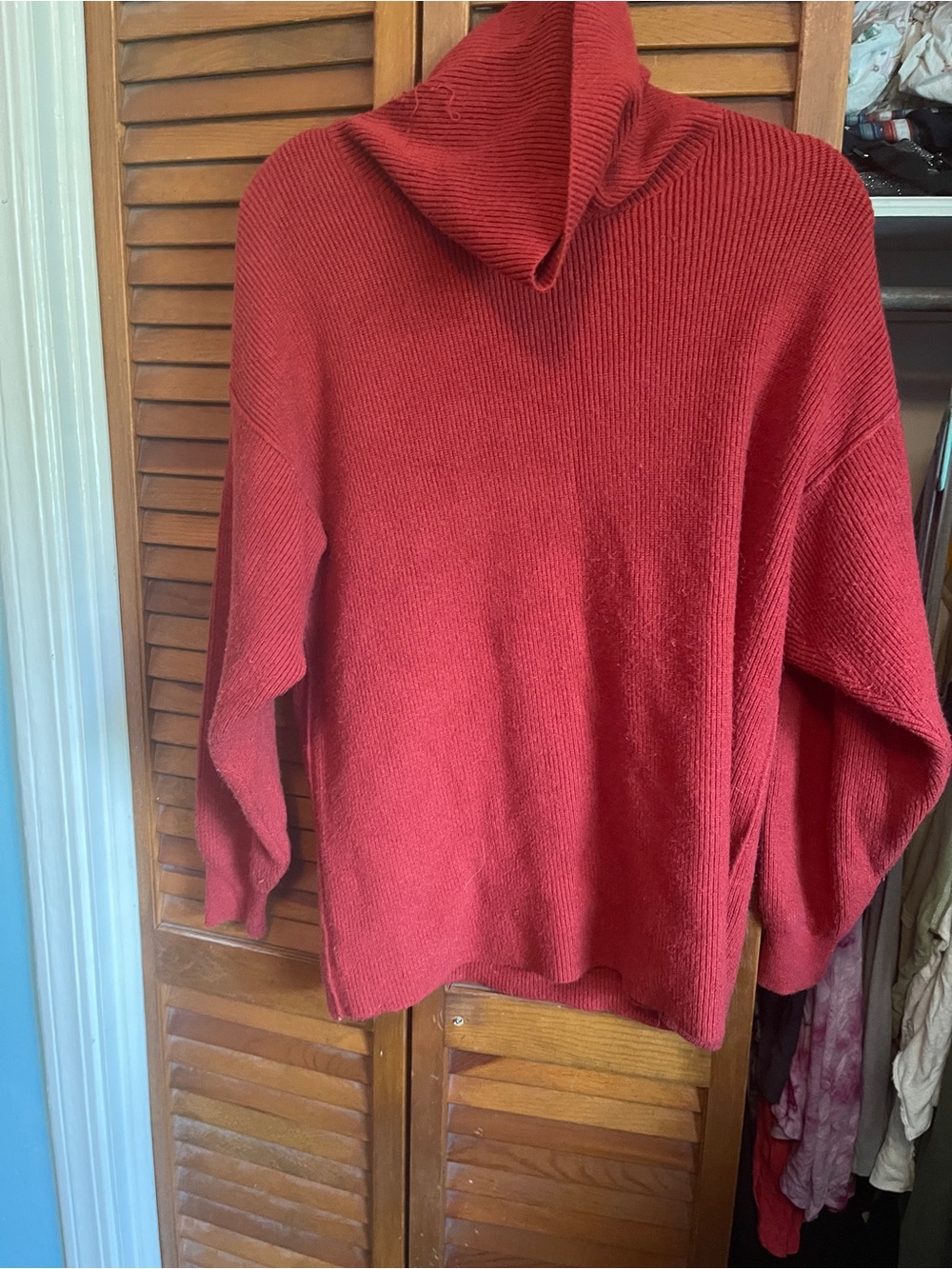 Free People Ribbed Red Turtleneck Sweater